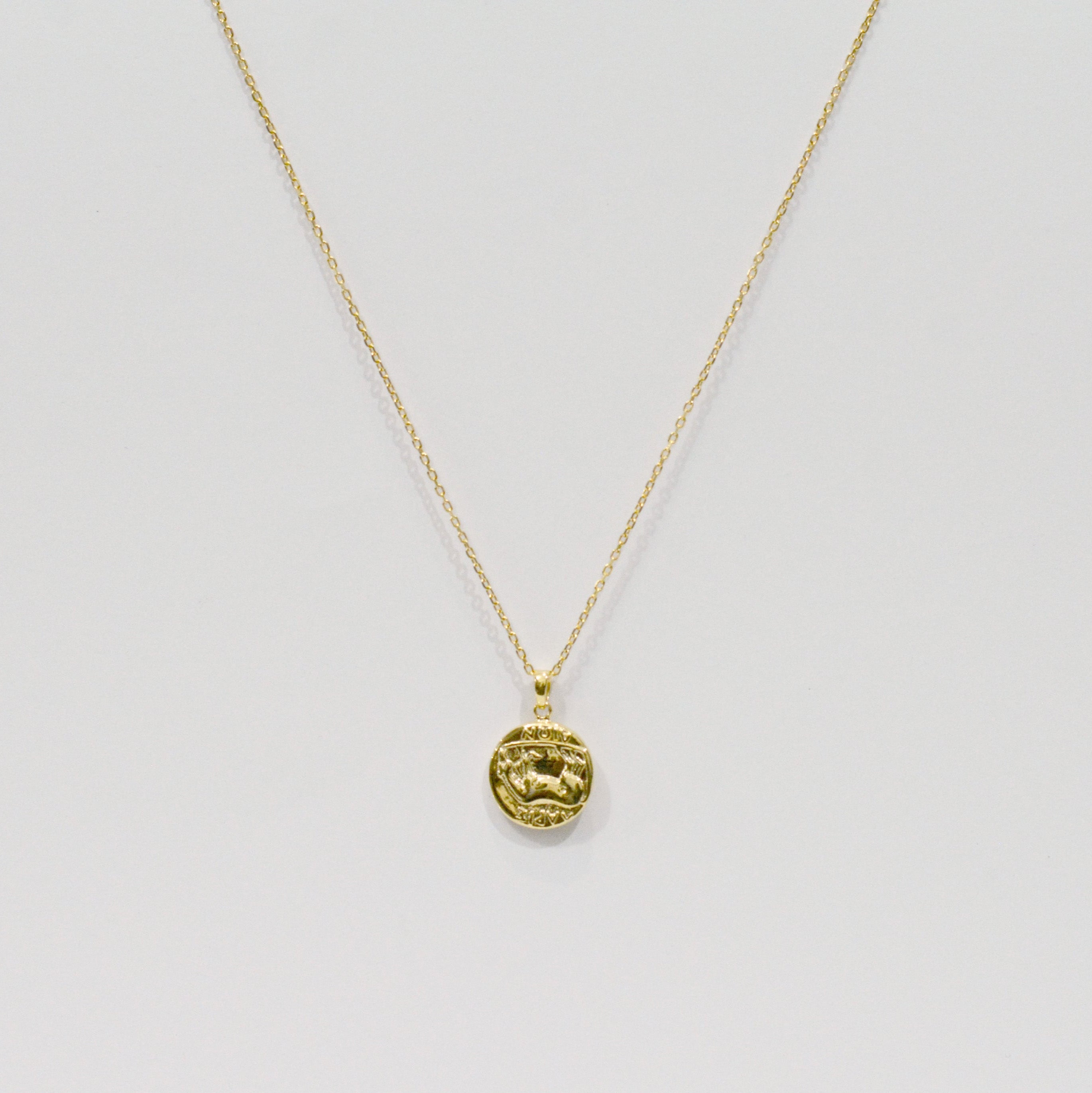Gold coin necklace 01 thin