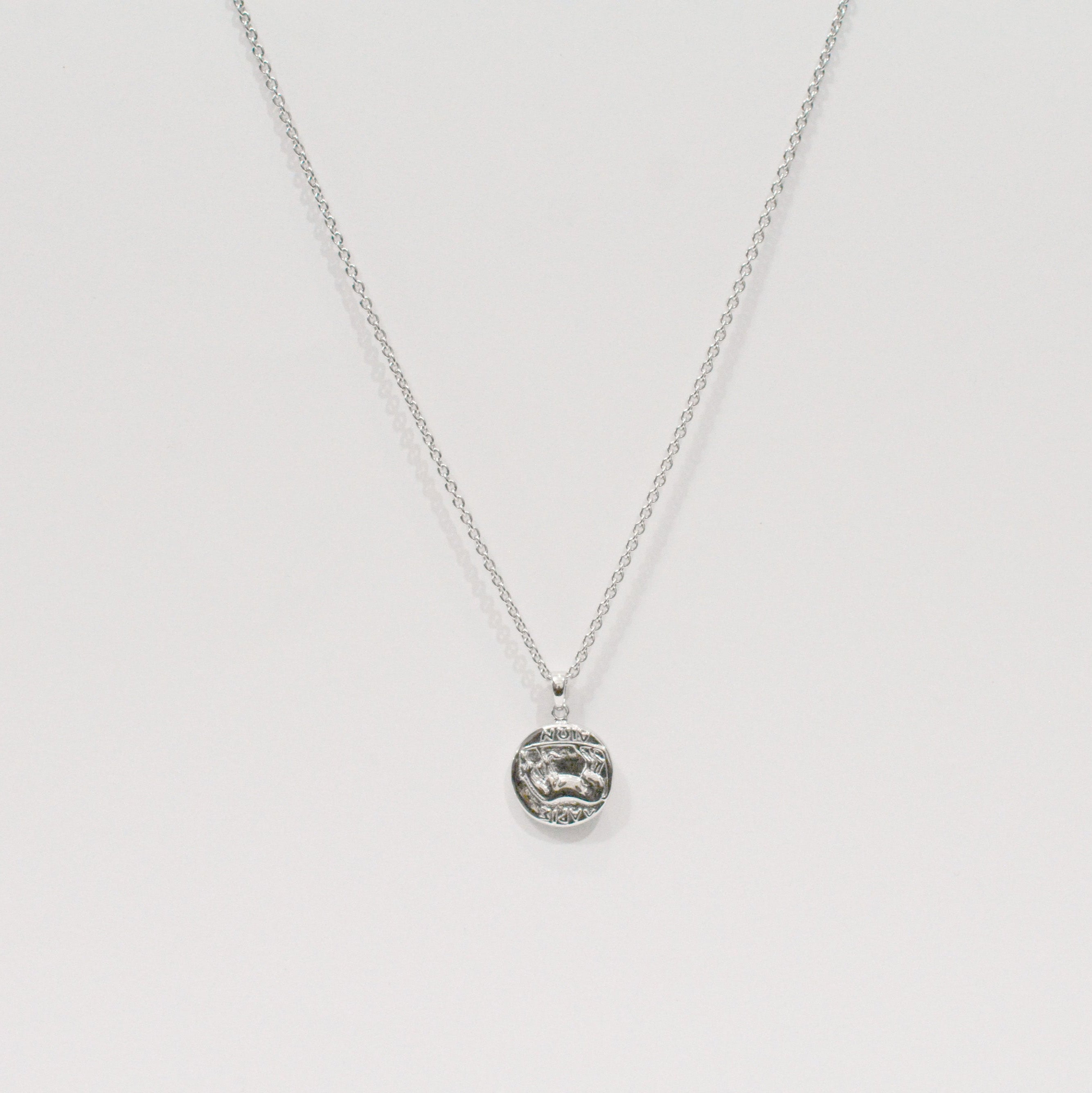 Silver coin necklace 01 bold
