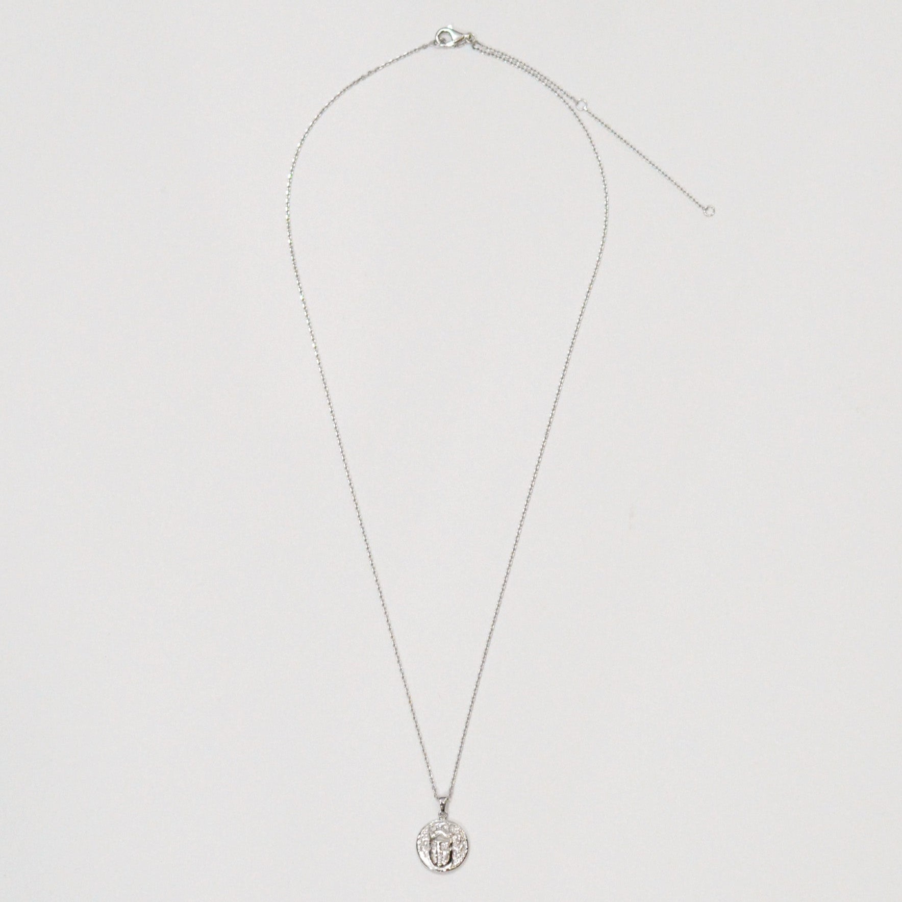 Silver coin necklace 01 thin