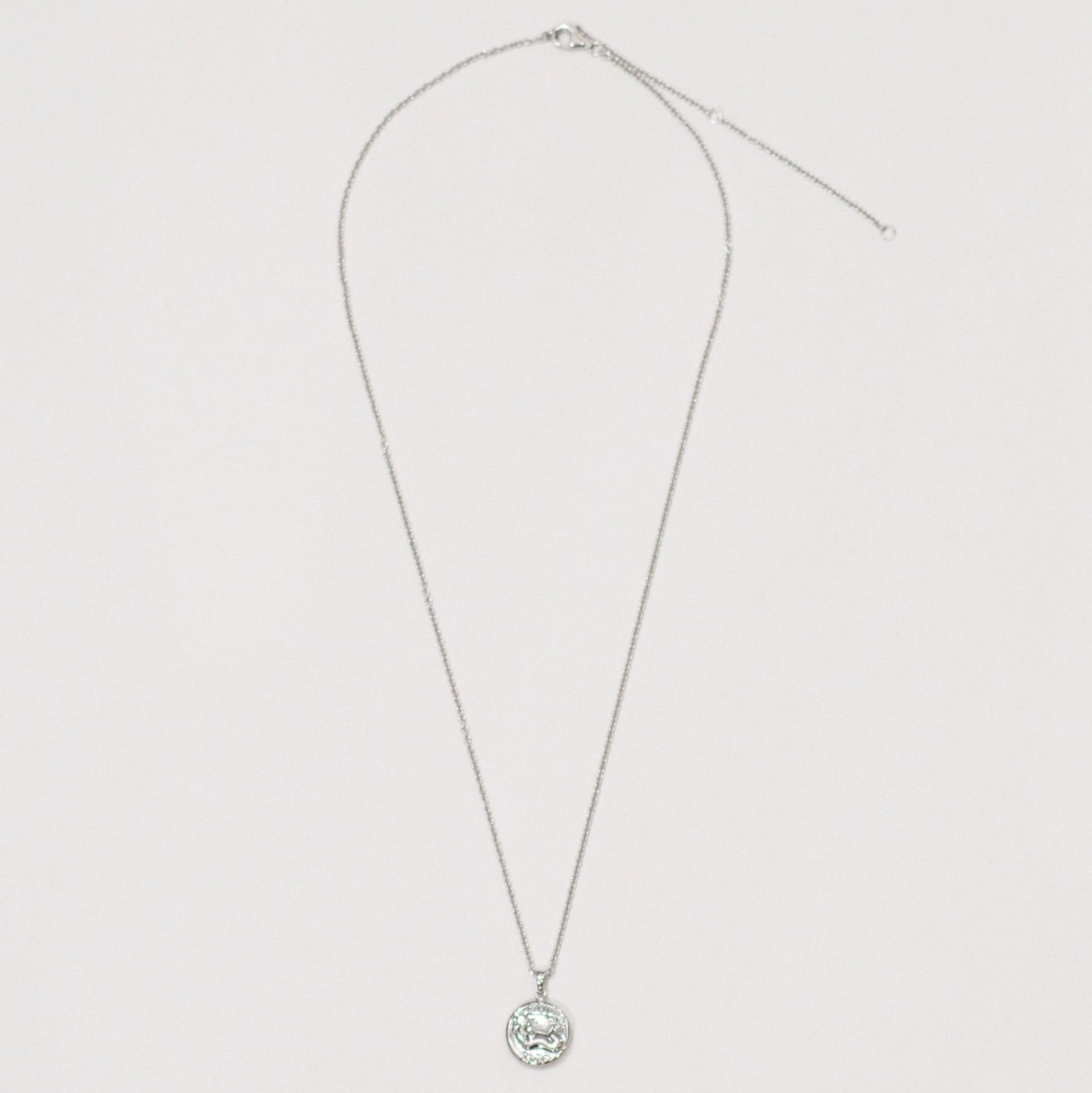 Silver coin necklace 01 bold
