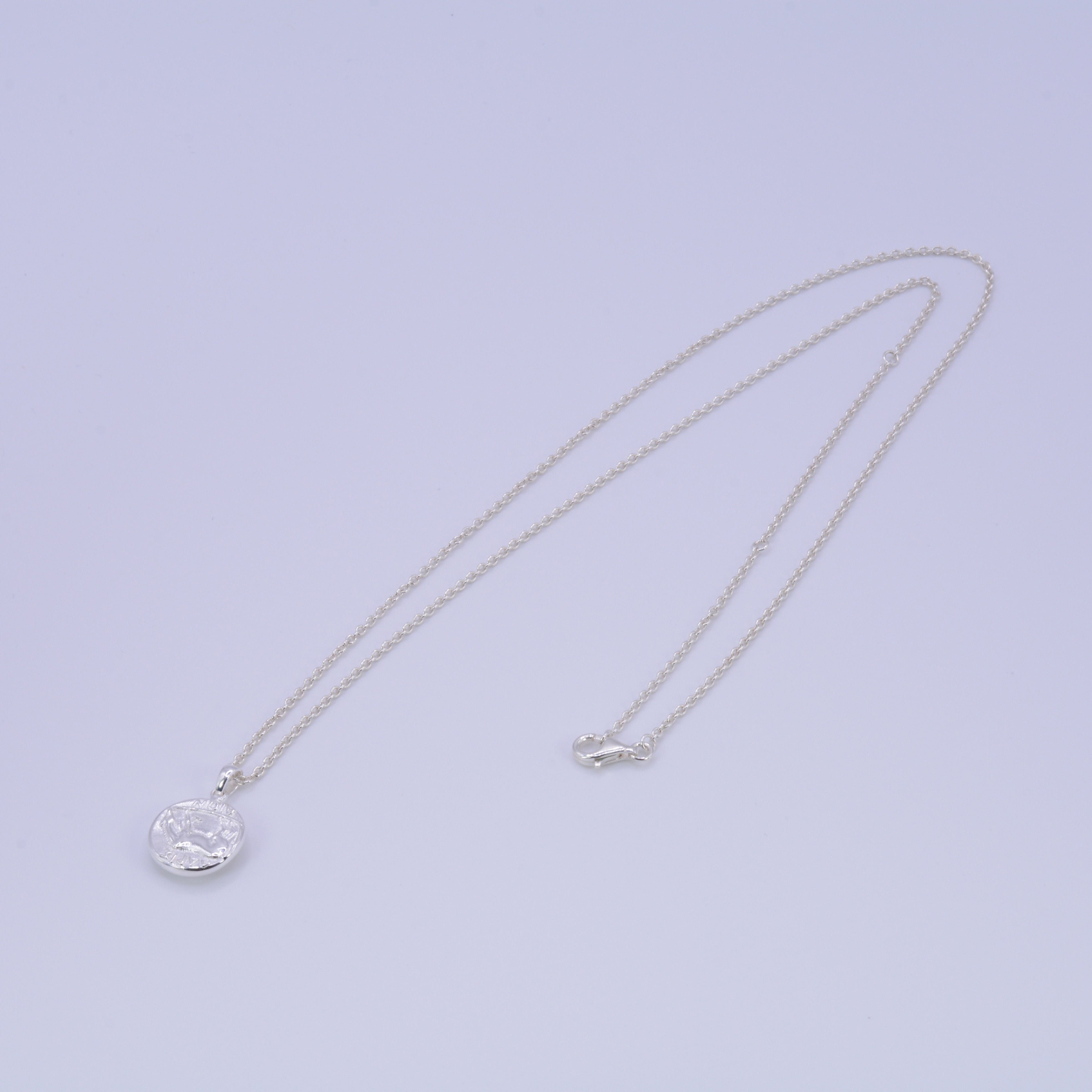 Silver coin necklace 01 bold